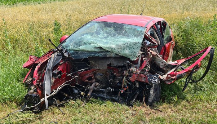 FOTO. Șoferul care a ucis un tânăr de 21 de ani în accidentul din Poienarii Burchii era căutat de polițiști pentru viol